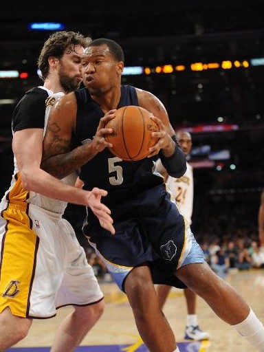 仅充分体现 仅充分体现