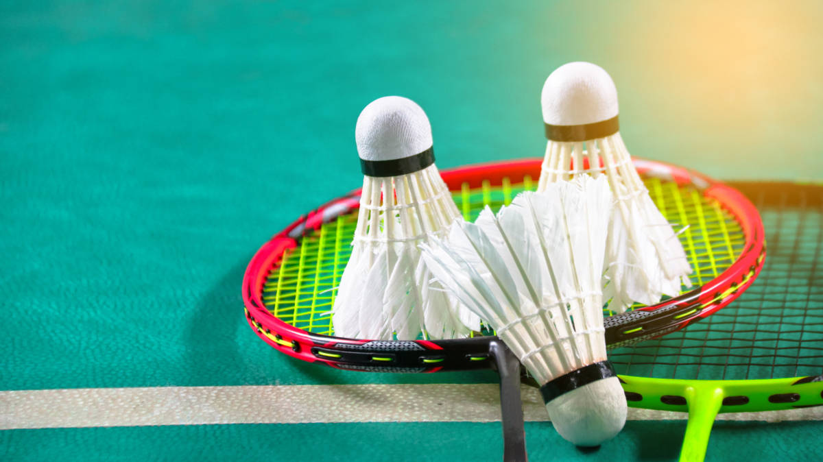 这一安排也 这一安排也