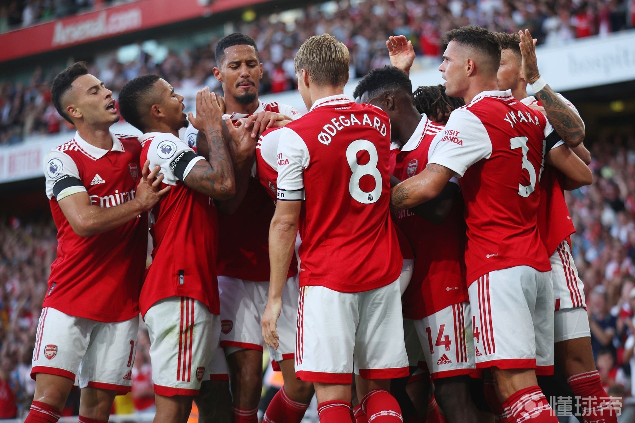 贴柱入网 贴柱入网